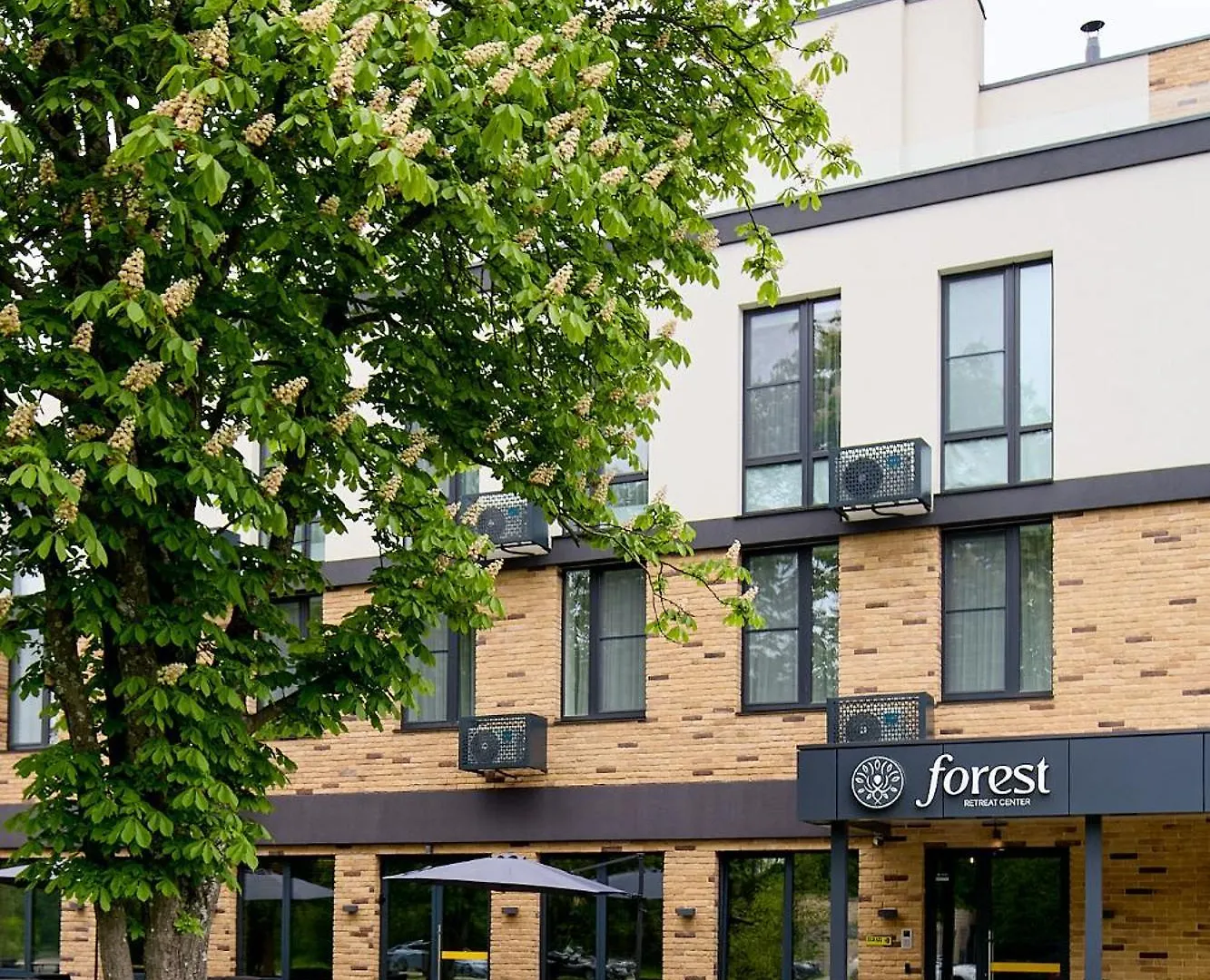 Forest Retreat Center Kyiv